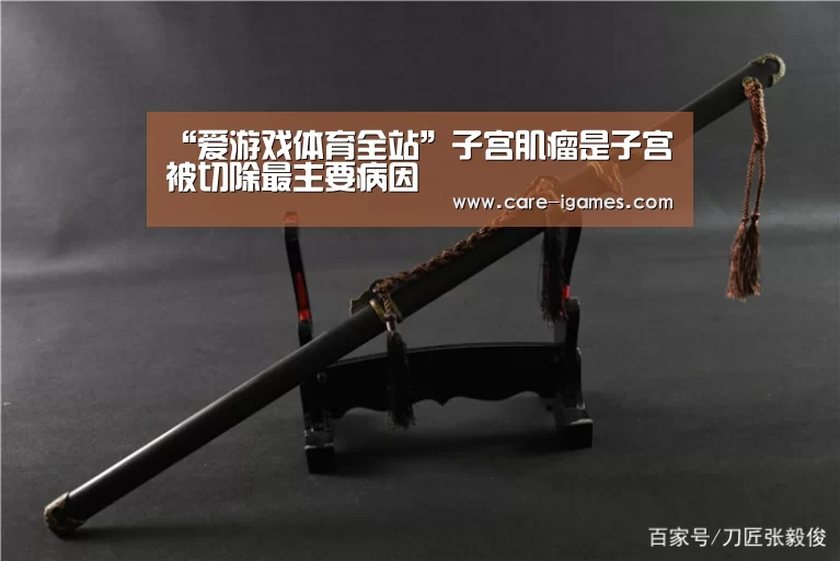 “爱游戏体育全站”子宫肌瘤是子宫被切除最主要病因(图2) “爱游戏体育全站”子宫肌瘤是子宫被切除最主要病因(图2)