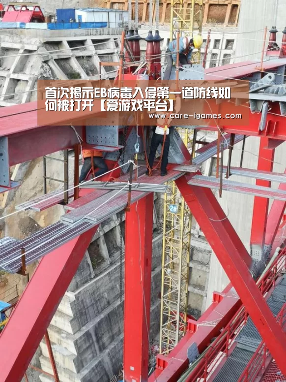 爱游戏体育全站