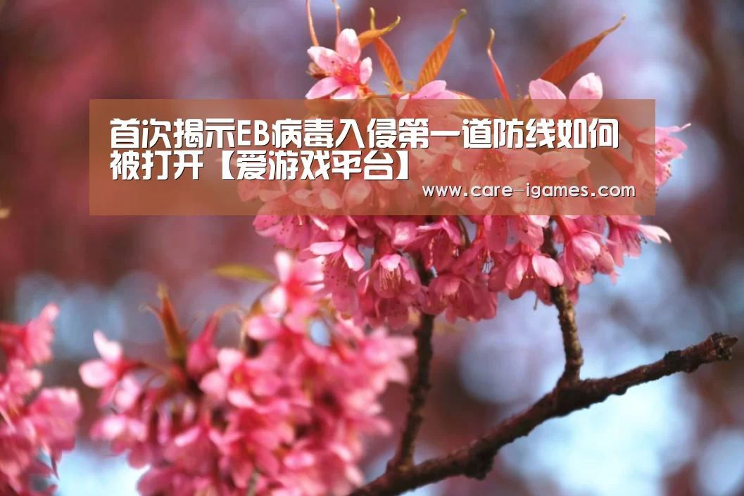 爱游戏app