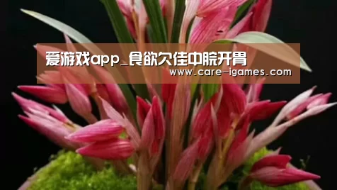 爱游戏体育全站