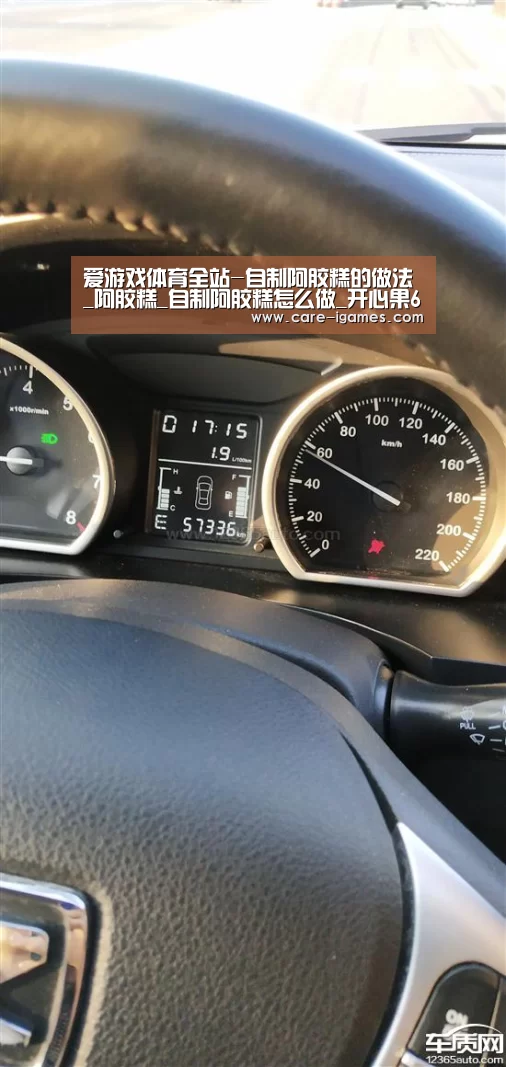爱游戏体育全站-自制阿胶糕的做法_阿胶糕